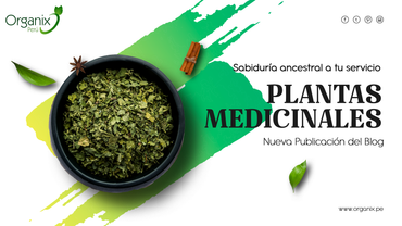 Plantas Medicinales - Sabiduría Ancestral a tu Servicio