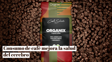 Experto de Harvard te dice la cantidad de café que ayudaría a la salud cerebral