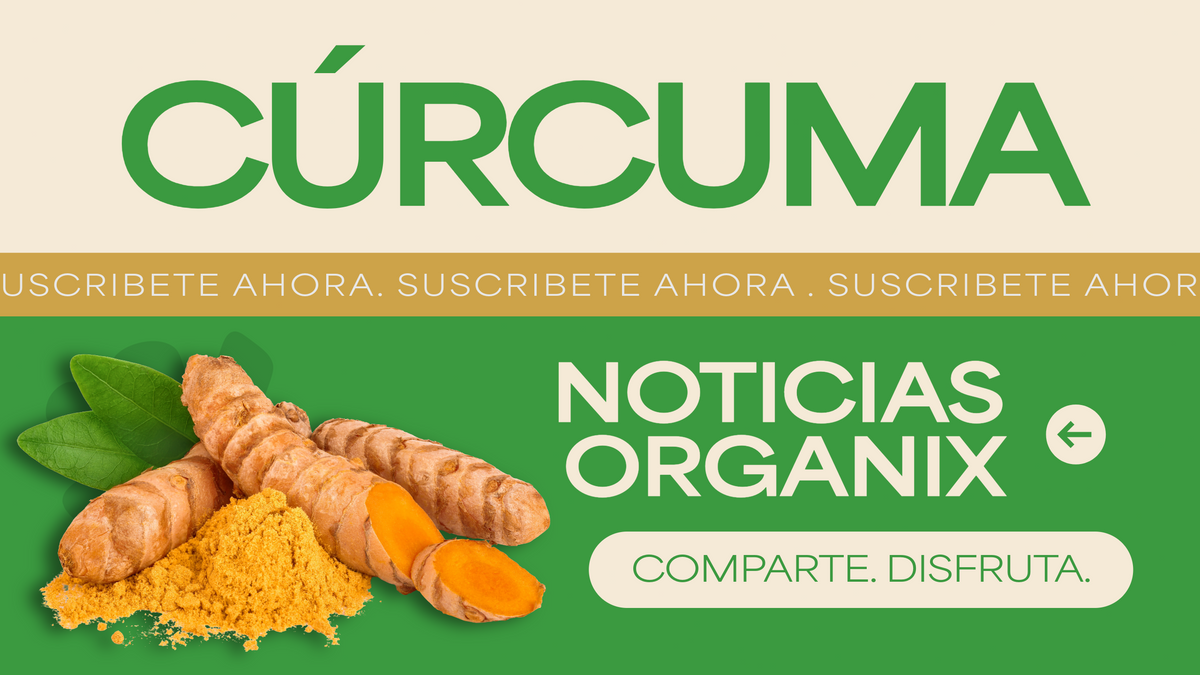 Cúrcuma: el oro natural con poder antiinflamatorio y antioxidante