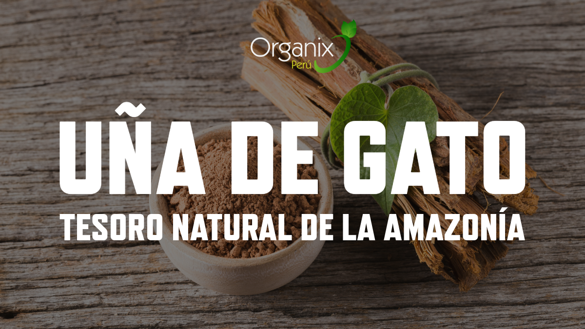 Descubre los Increíbles Beneficios de la Uña de Gato Organix : El Tesoro Natural de la Amazonía