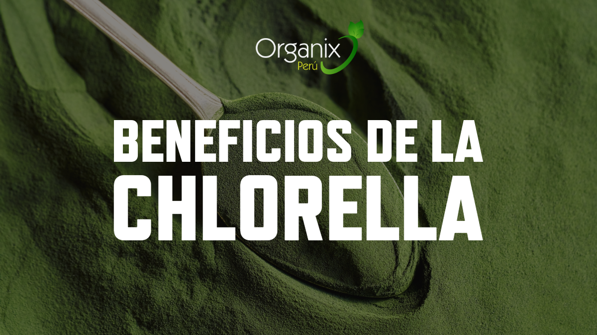 Banner del blog sobre Chlorella Organix Perú: El superalimento verde que tu cuerpo agradecerá cada día