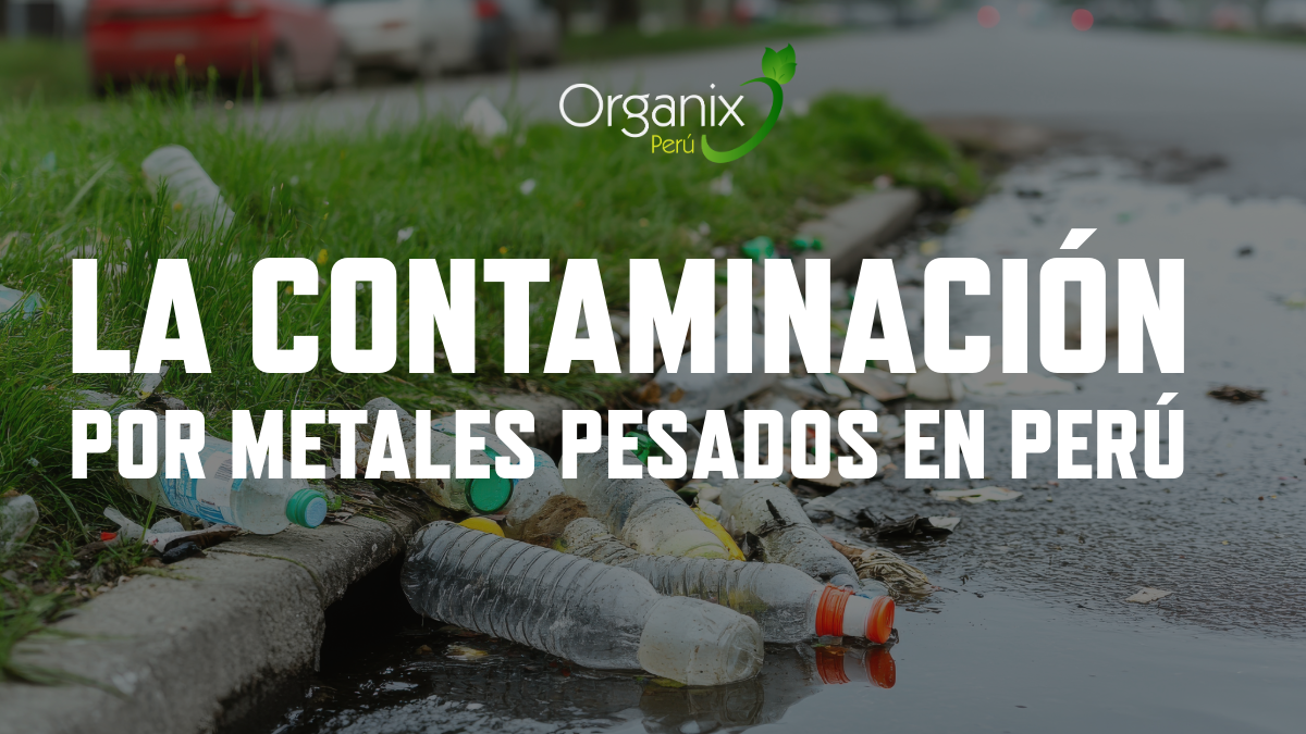 La contaminación por metales pesados en Perú: un enemigo invisible en el ambiente, los alimentos y el agua