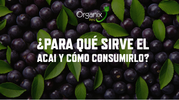 Descubre para que sirve el Acai en Polvo Organix Perú, Previene enfermedades, Ayuda a reducir los niveles de colesterol, Aporta fibra dietética, Aporta minerales, Proporciona energía, Fortalece el sistema inmunológico,