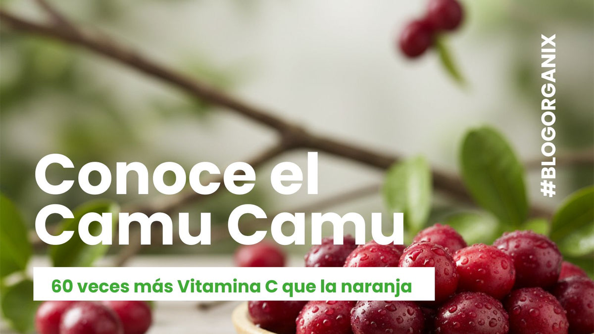 Camu Camu: el superfruto peruano con más vitamina C que la naranja