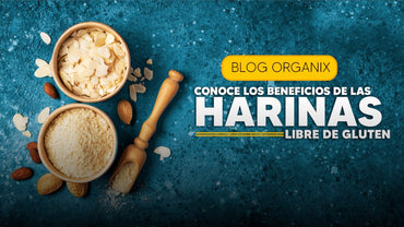 Beneficios de las Harinas Libre de Gluten | Organix Perú