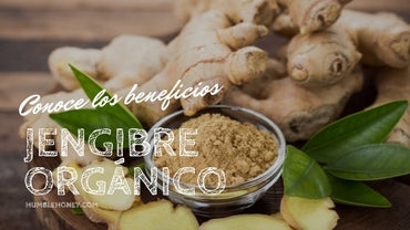 Beneficios del Jengibre en tu Cuerpo y tu Salud | Organix Perú