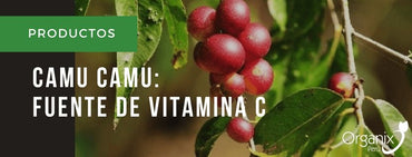 Camu Camu: Mayor Fuente Natural de Vitamina C | Organix Perú