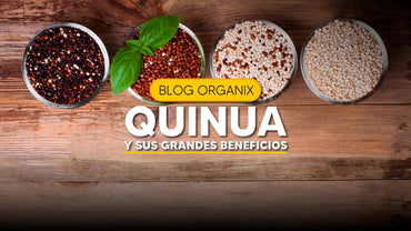 ¿Conoces los tres tipos de quinoa? | Organix Perú