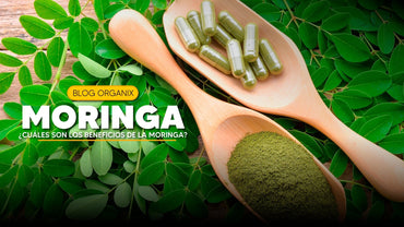 ¿Cuáles son los beneficios reales de la Moringa? | Organix Perú