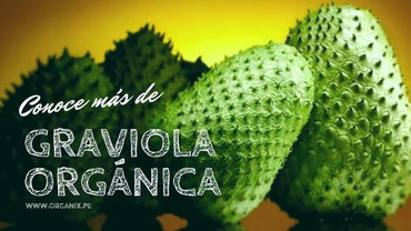 Graviola: Milagro Natural | Organix Perú