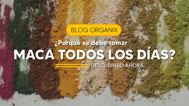 ¿Porqué tomar maca todos los días? | Organix Perú