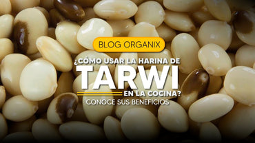 Qué es el Tarwi y cómo consumirlo | Organix Perú