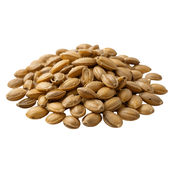 Cebada tostada en grano – cereal natural con sabor intenso, ideal para infusiones, café sin cafeína y recetas saludables