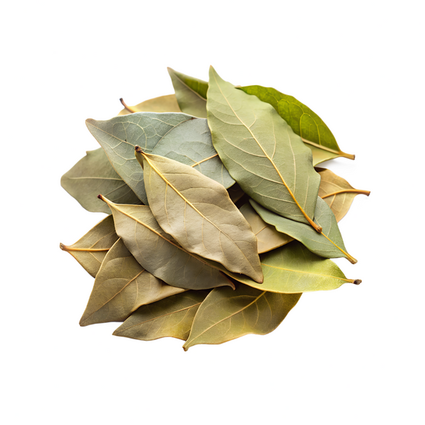 Hojas de laurel seco natural – especia aromática con propiedades digestivas, ideal para sopas, guisos y cocina tradicional